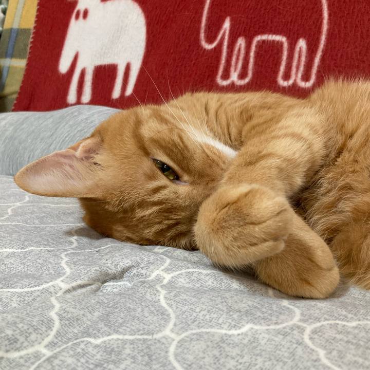 B21b6454 8d5c 430c 9034 5b203afdd692 1762177029587