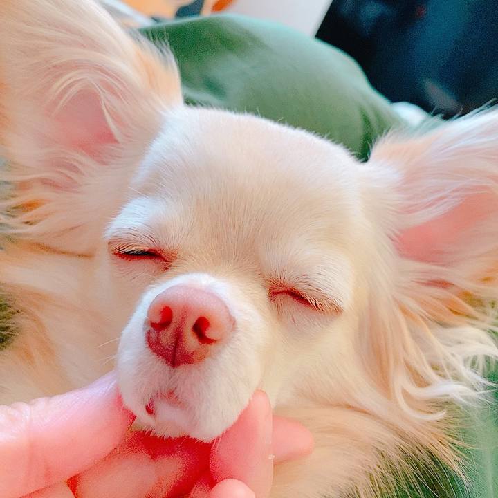 B21b6802 3283 4b38 beb5 d9075e2596e9 1623467238249