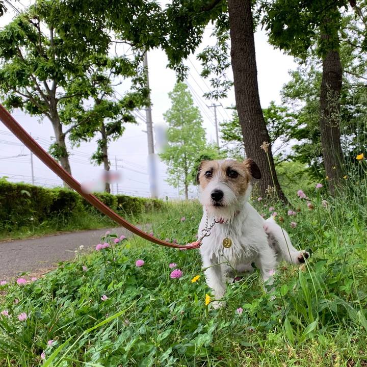 B21b7520 db0f 436b 8a74 b56cb661bf91 1589788131203