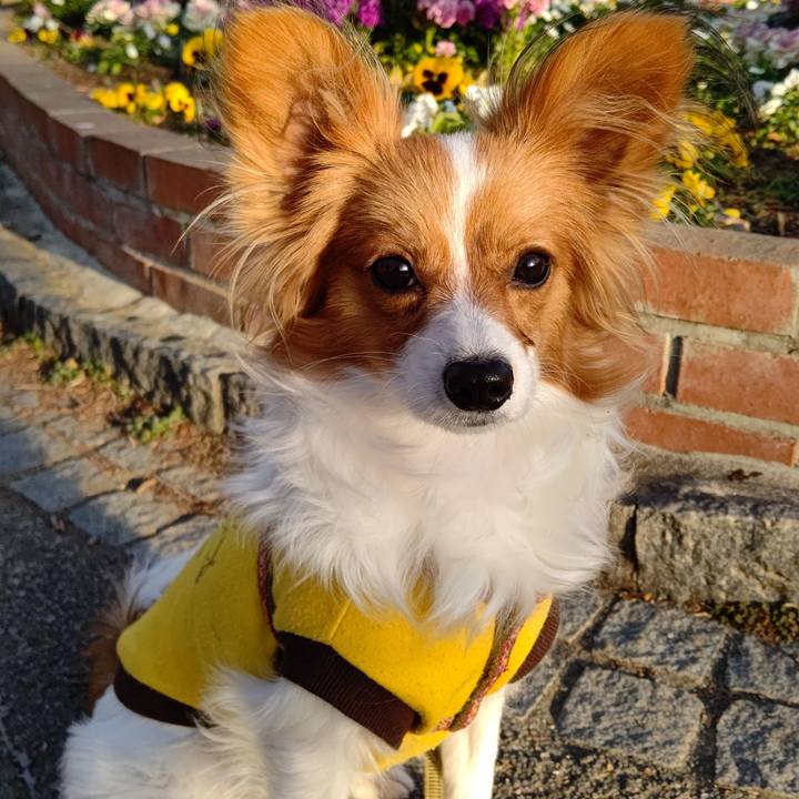 B21bb957 427f 48cb 8d4f d8af1018314d 1613033104558