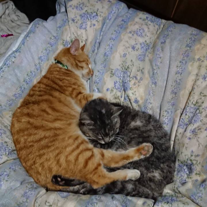 B21bd274 8f12 45ff b337 c596bd09f03c 1582379868240