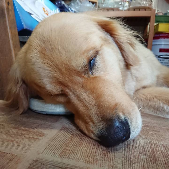 B21bdabd 9a4f 495a b933 c0c034afcc86 1559559319995