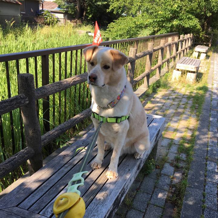 B21bfdb8 de5a 4b55 a45d 71b12dc62fa3 1527992127448