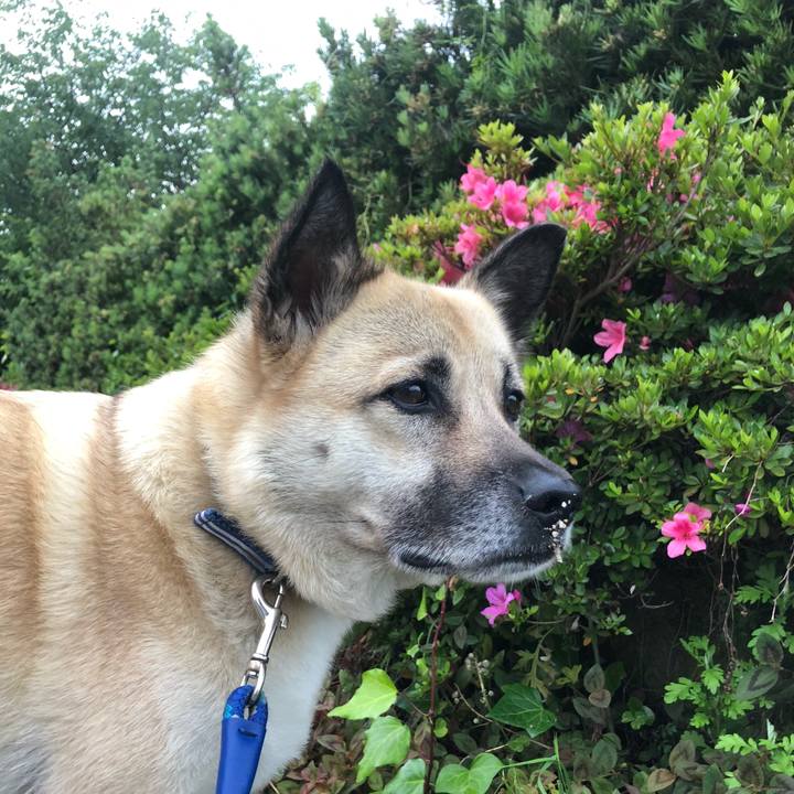 B21bfe45 2a17 4e0e 9ab9 82ffb32575b8 1622810062244