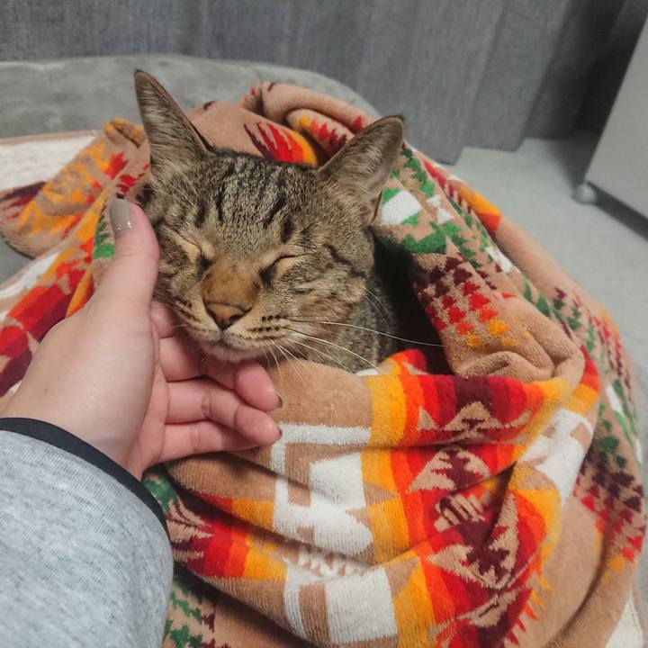 B21c83d0 d548 4229 a0f9 0572c2f78d05 1537538111948