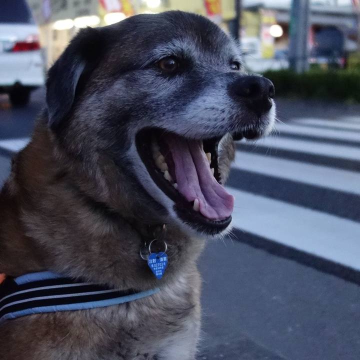 B21cbb69 c542 42fd 8f7a ef5982b3be7d 1639446285994