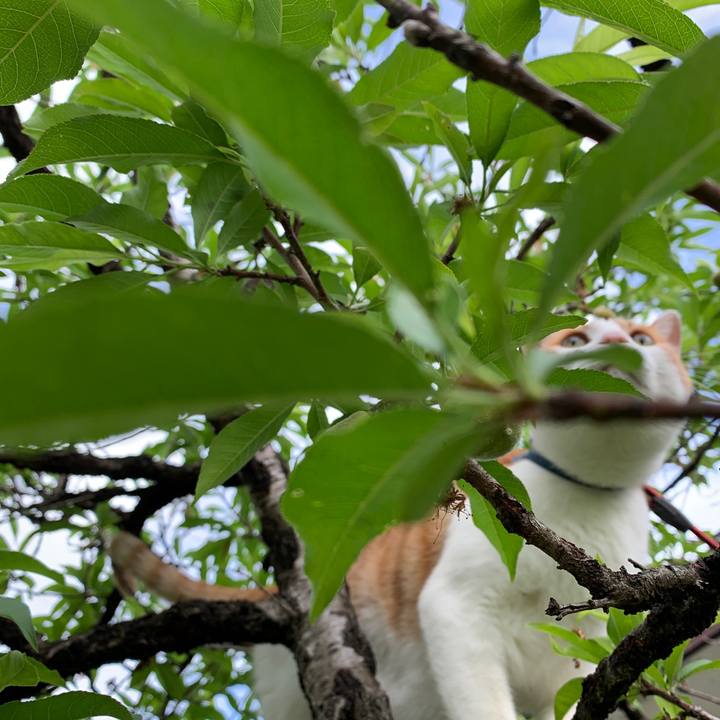 B21cc812 3815 4e9c bc6c e82b2519a2ed 1591971155273