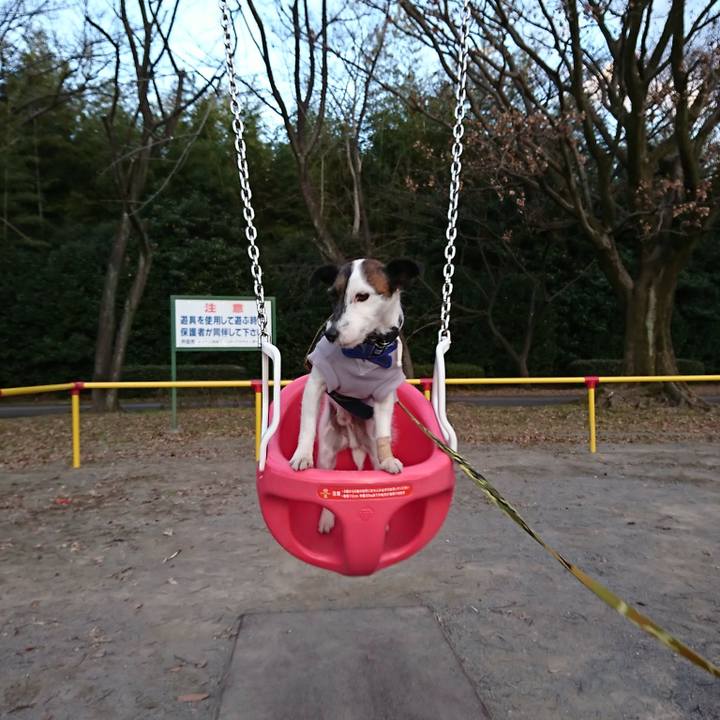 B21ccc18 2efb 4484 844e 7c47e0dbd400 1546422683077