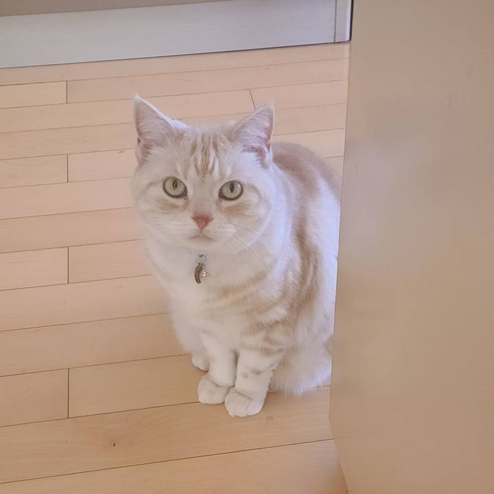 B21cd26d 0620 441f 9e47 1b052545c884 1611540049603