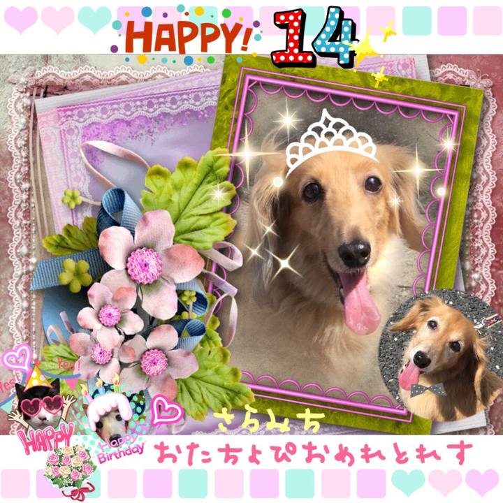 B21cd931 9673 4373 b823 6f35b3039fcf 1510923883880