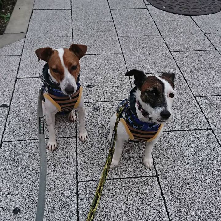 B21cdd58 b6a0 4024 ac44 2271afd0a4af 1538518957319