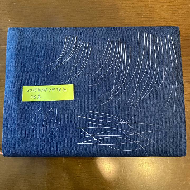 B21d04bb 2d86 44de bc22 6937cf206749 1765242170848