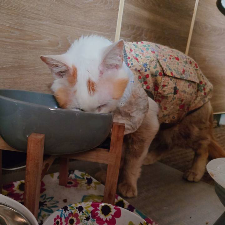 B21d0890 7745 4c89 8ecb 4f67292019fd 1771478346514