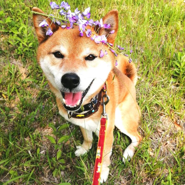 B21d15c0 7e77 4d8a 9a31 0d88f2da3961 1588231851983