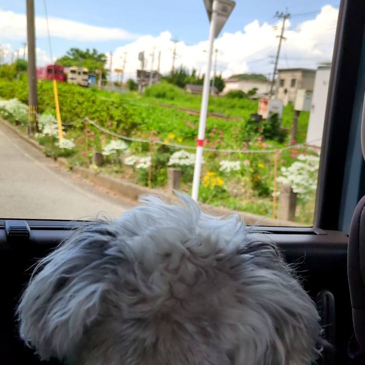 B21d2573 38a8 49e0 b13d d505914dae8f 1757917002440