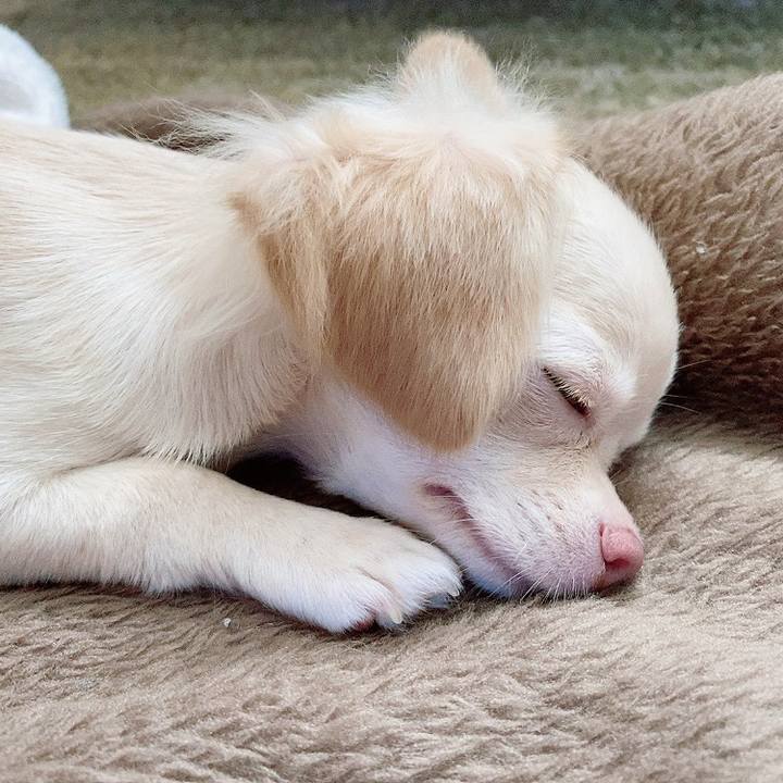 B21d4ecb 6a5b 4b62 9687 522b335fb45e 1594126353852