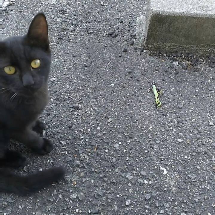 B21d74aa 9251 4d69 a663 39899ccc9447 1534583263608