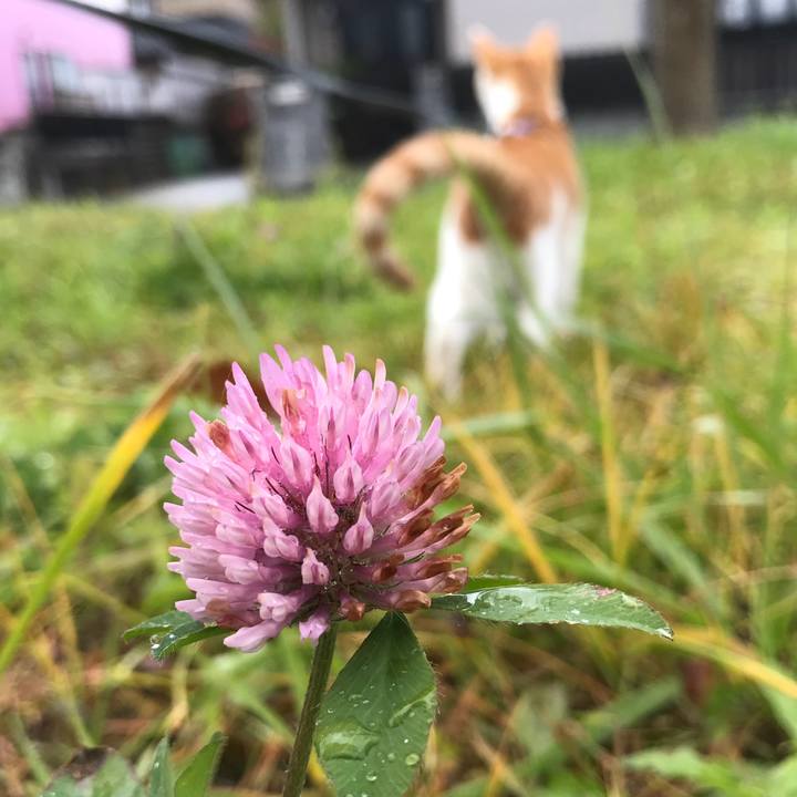 B21dbca8 3043 4654 bfa6 04123960f1d9 1511493135302