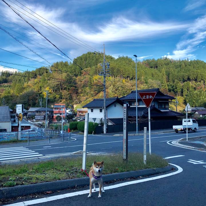 B21e078a 1d78 45f4 bf6b 8fd7104ccc19 1540976837735