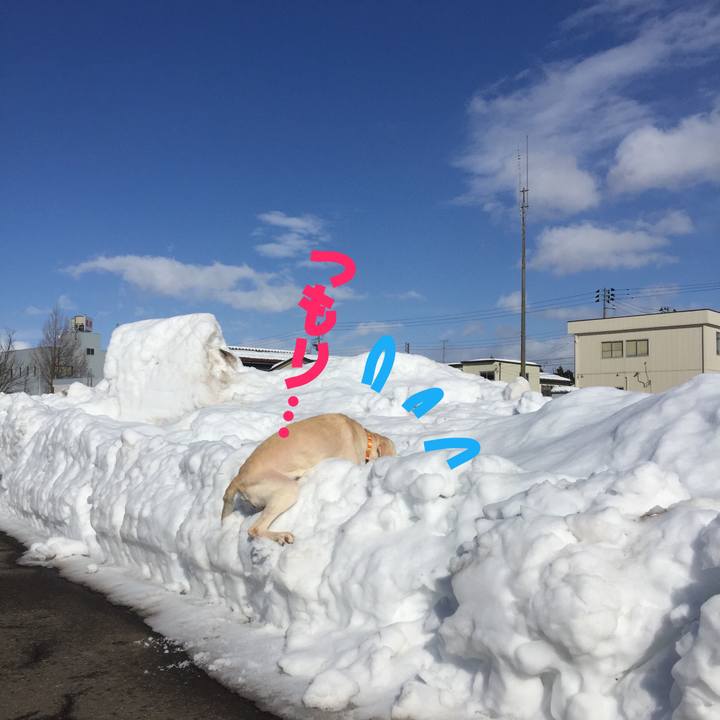 B21e198f 773a 4108 b16f de2c394e5d76 1517721493795