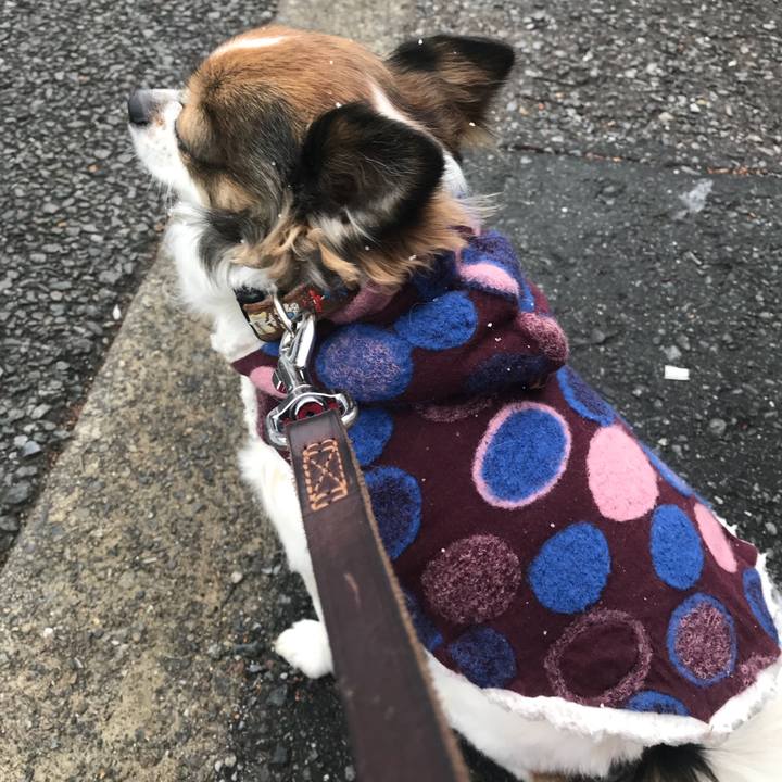 B21e2d98 65bf 468e 9862 465c72be0059 1516585998246