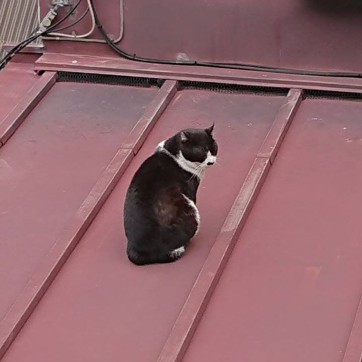 B21e44b3 eac8 4efa 8257 a375fe7b8c28 1647312567980