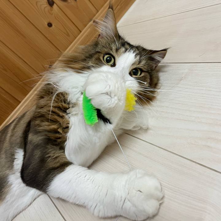 B21e4a12 d2af 4b2f 93fa 702a57ec9525 1688761733276