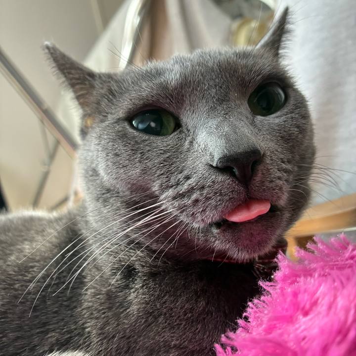 B21e9f3f 01c4 4178 97b1 6cc0b255c2a2 1773622078867