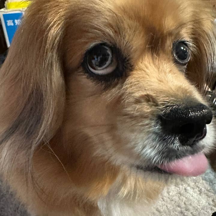 B21ee54a f575 4f45 9d4c cd2be260c32c 1717102677937