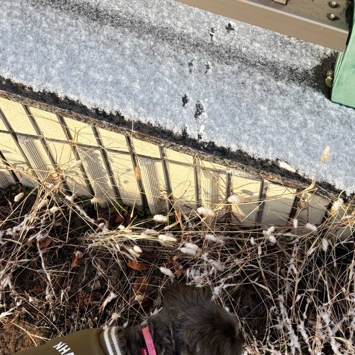 B21ef39b 8d5c 4573 ae5d 8a4913120c28 1767401547141