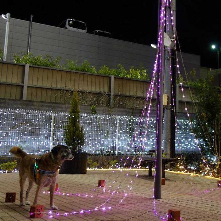 B21f03bf e76e 4eb4 bc53 a1bc02d33e39 1514812358676