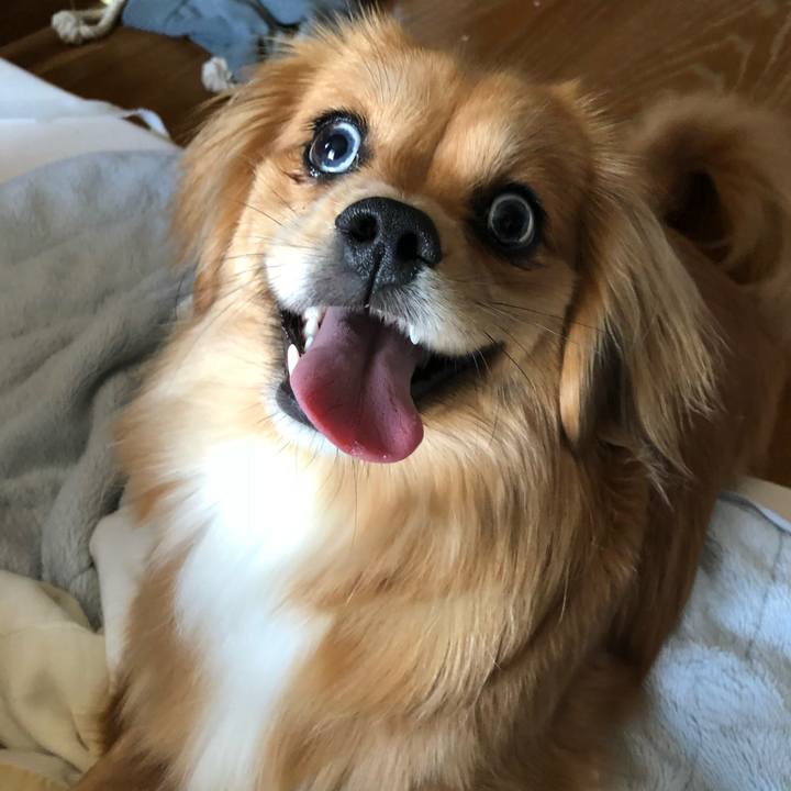 B21f14a9 4e03 4807 a6d2 30d54c74de69 1525394661721