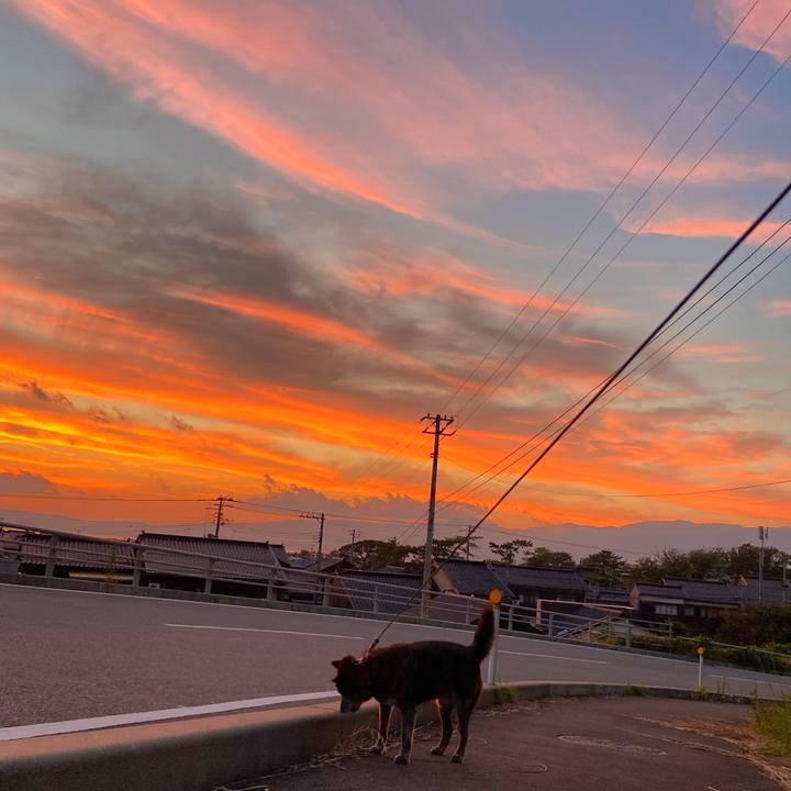 B21f1685 1374 478c 9597 bf75e3758b48 1627296250973