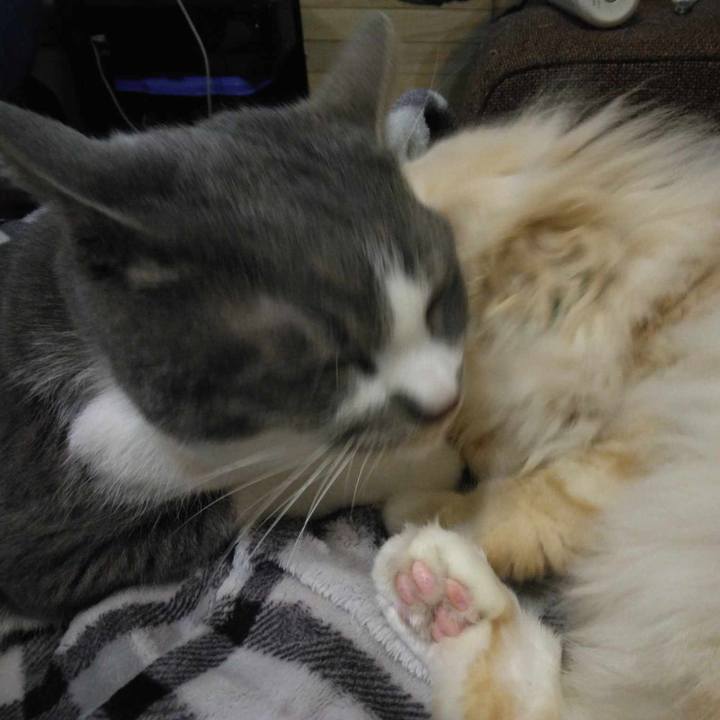 B21f212c 112e 4c06 858b 52137e34280b 1714645409481