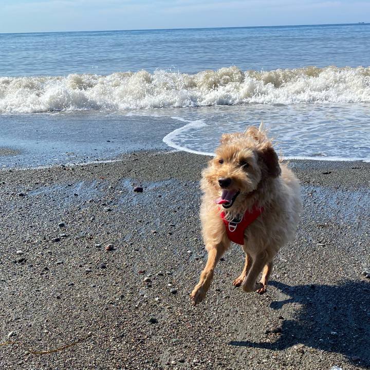 B21f4c4b e4bd 486a a0d8 1b820d1e4685 1662856303002