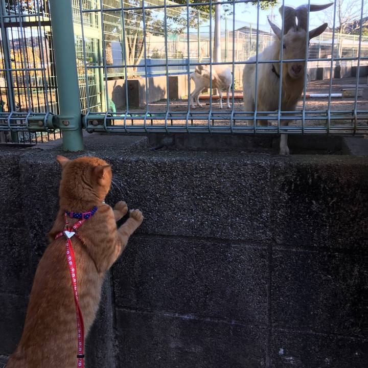 B21f50b9 07cd 43f6 b2fc 7c17f45bcf3e 1512228693088