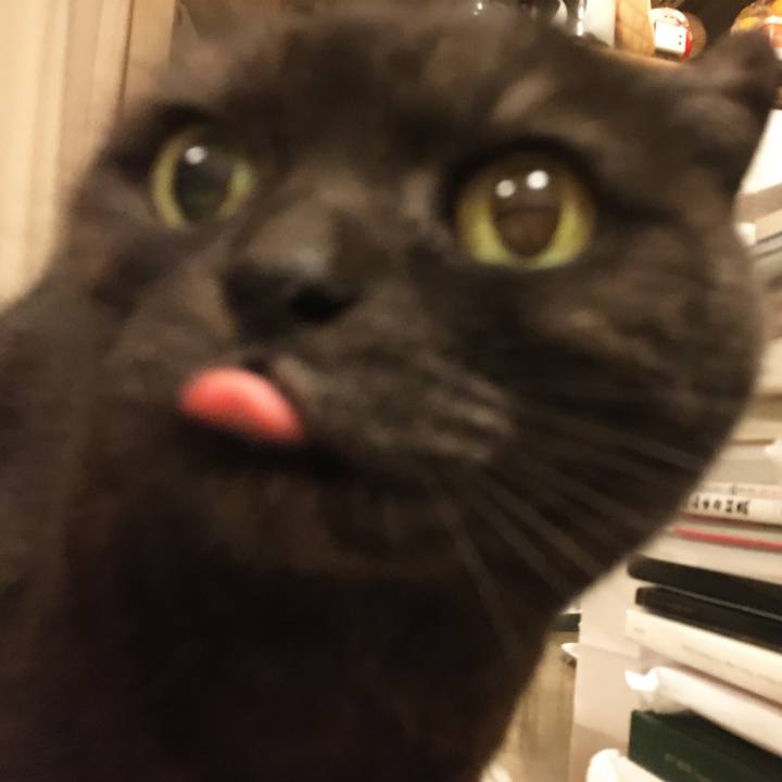 B21f68ad 5e9f 49c5 8e14 f1031dddb01d 1586712179618