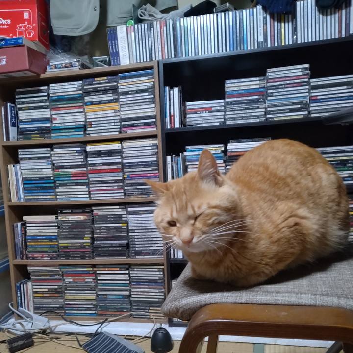 B21f6eba 5c41 4147 a866 f27e423410e1 1684151799122