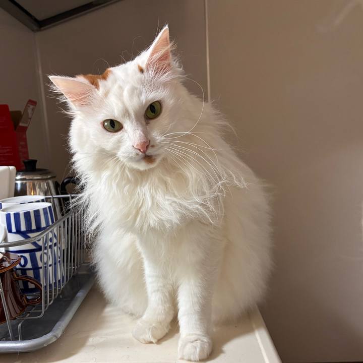 B21f714e 3887 4f9b 8557 fd90f25847c3 1775355321507