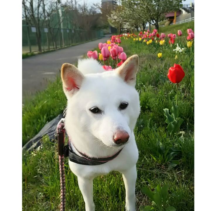 B21f756c bb13 437f 9e8d b9bc0220e24c 1524127971537