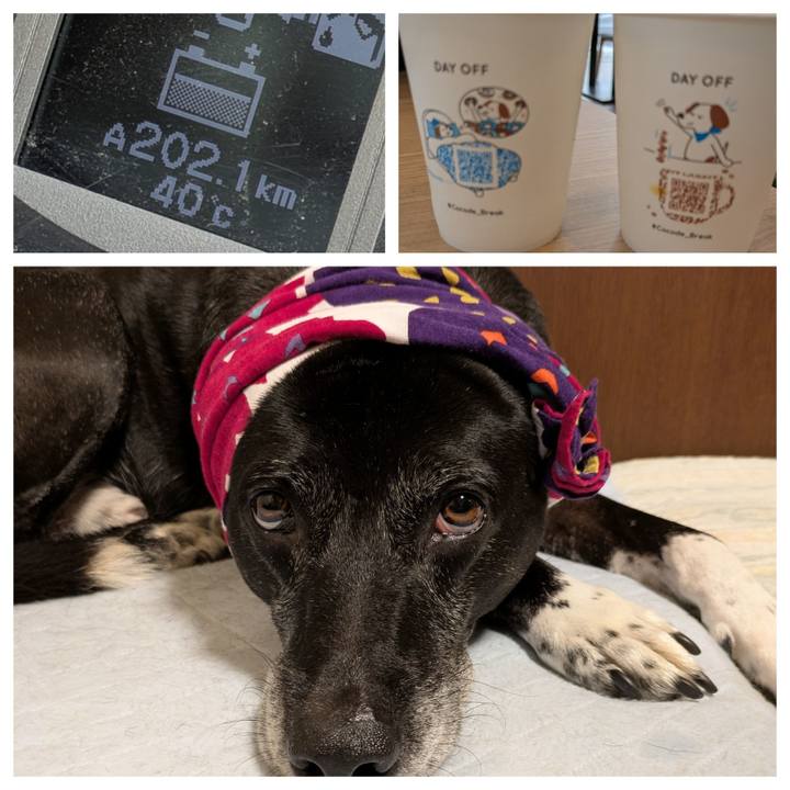 B21f77fe 1818 4a0e 96fc 2c9e5536db8b 1752143913305