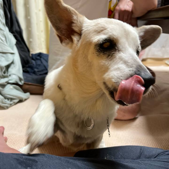 B21f9d92 49e3 4ce9 8324 5795261b34ce 1699884068108