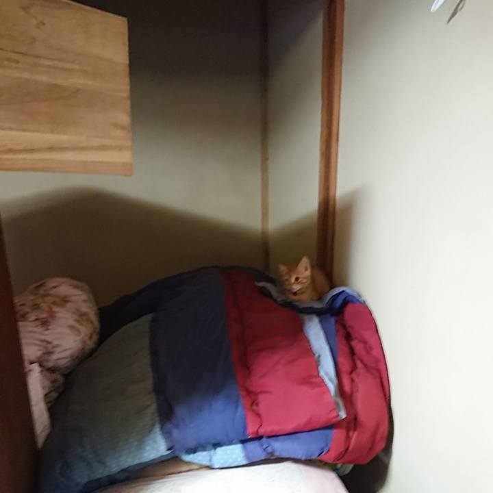 B21f9fb8 4109 4e54 9e1a a15d8bf9438c 1628843528123