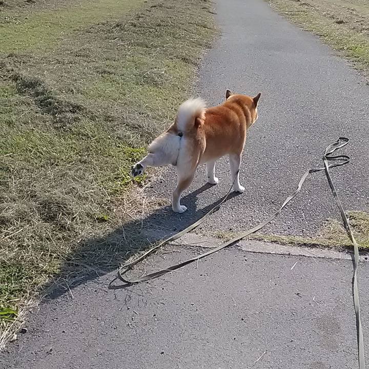 B21ff09a 5989 4a99 a6ba 5bce8dffaad8 1605700203359