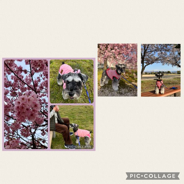 B21ffc69 da33 48ff 9cb5 7ab61daf9572 1731135778864