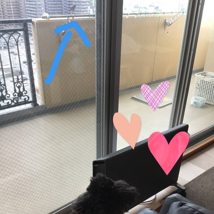 B2200d85 917d 466b bc57 4b52e07dc69b 1620479894217