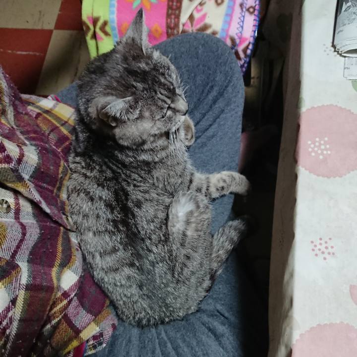 B22088c8 710d 4cf2 80fe c8ca06ba347e 1578088653747