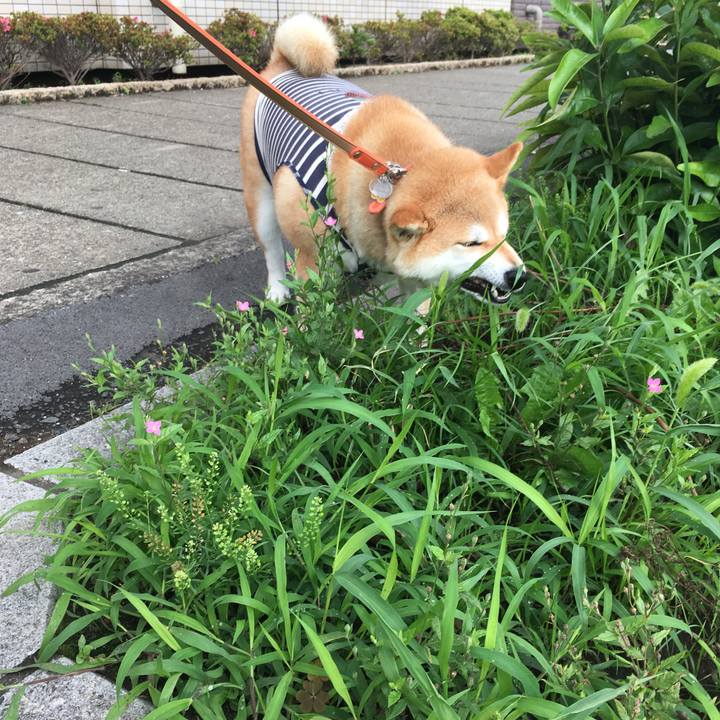 B2208d8b f557 4b68 a499 88f21a8cebb3 1562975367765