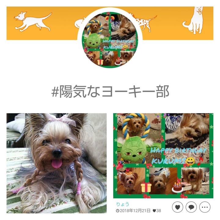 B220c06d 2606 4121 aede a09cc1166e3b 1679189943270