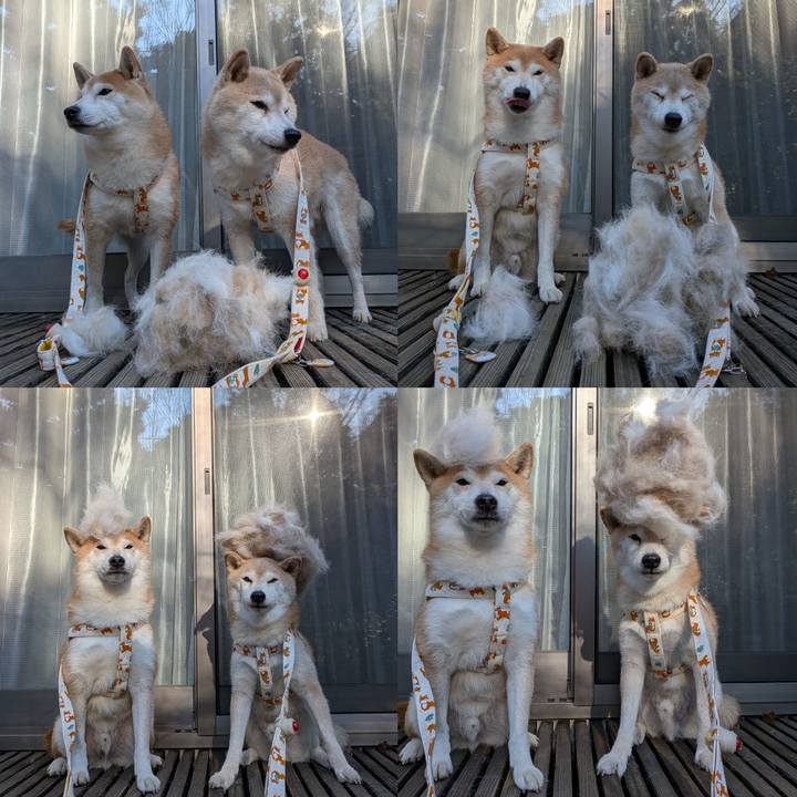 B220e622 5930 4070 b7d1 6fe7e2e64444 1766979714859